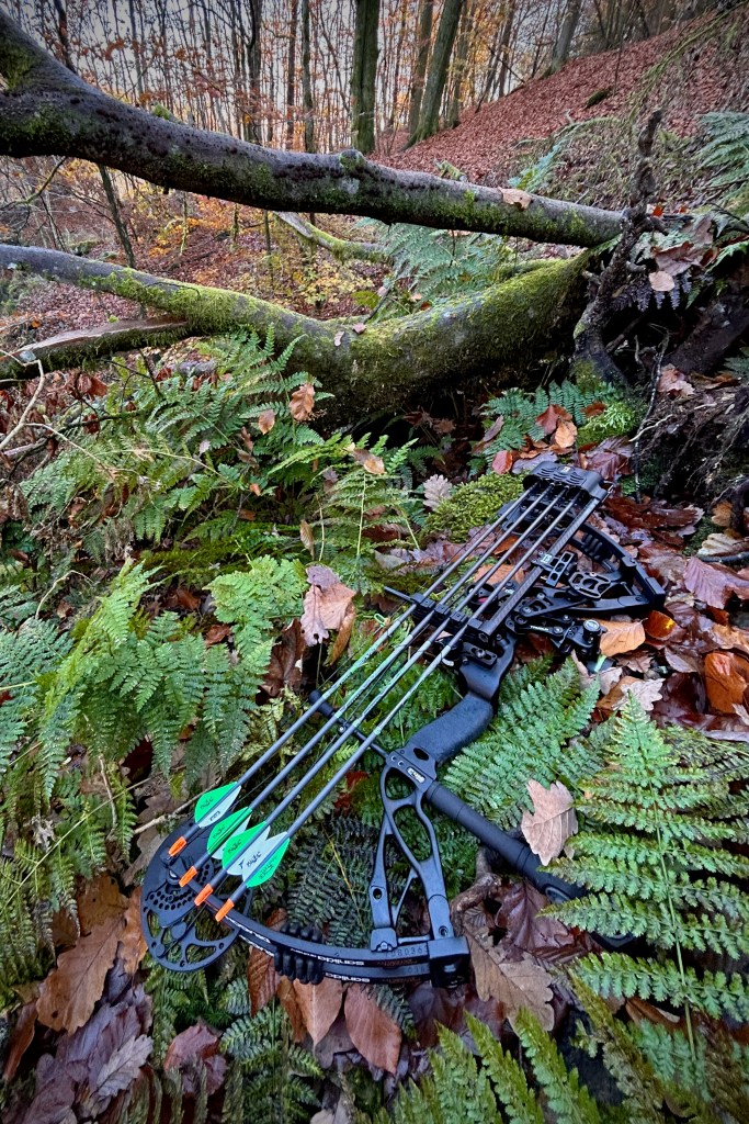 Arc de chasse posé contre un arbre en forêt