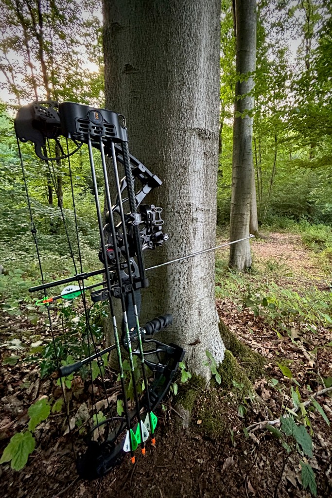 Arc de chasse posé contre un arbre en forêt après un affût