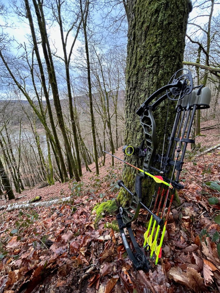 Arc de chasse appuyé contre un arbre dans une forêt vallonnée