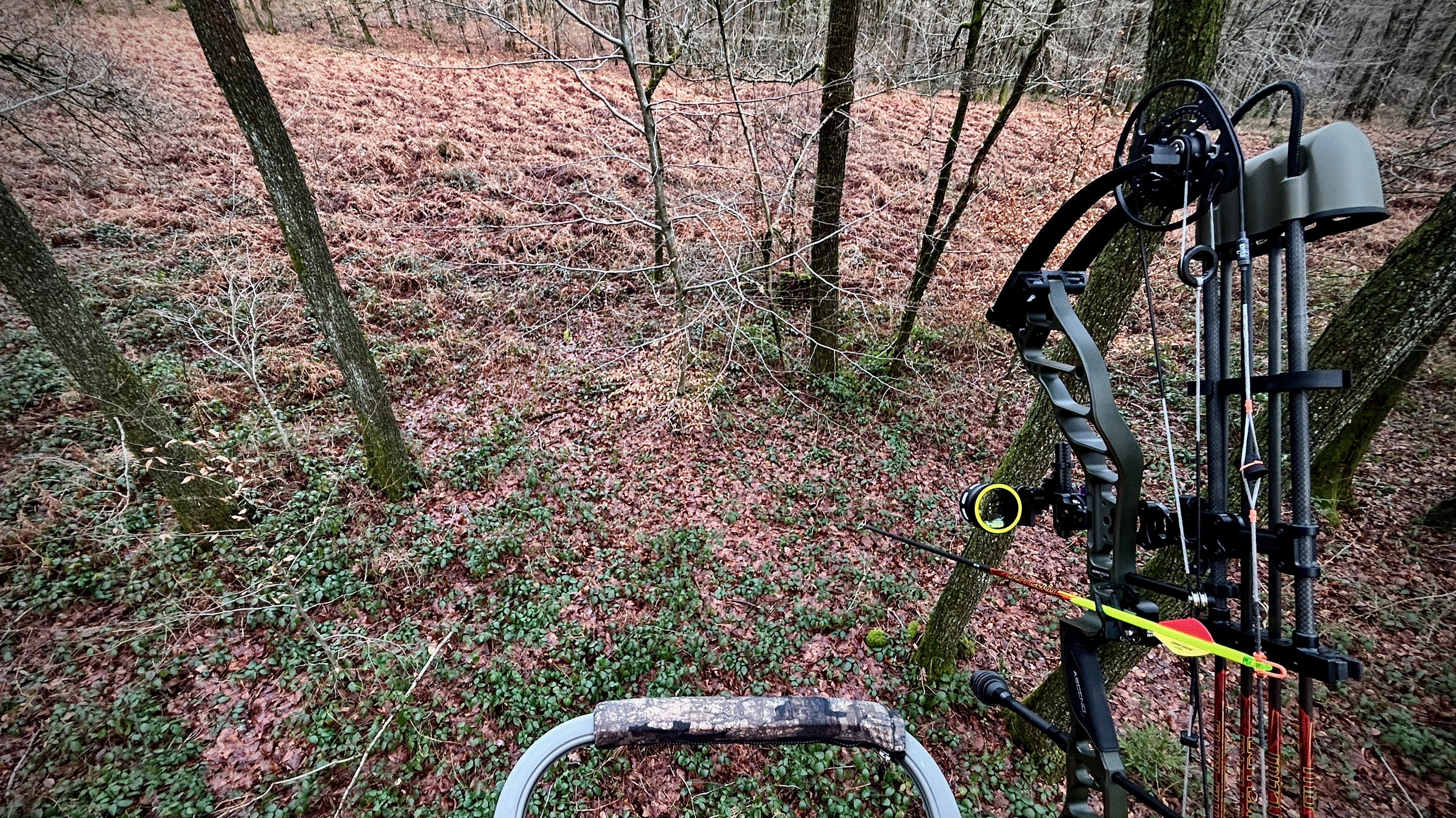 Vue depuis un treestand avec un arc de chasse dans une forêt automnale