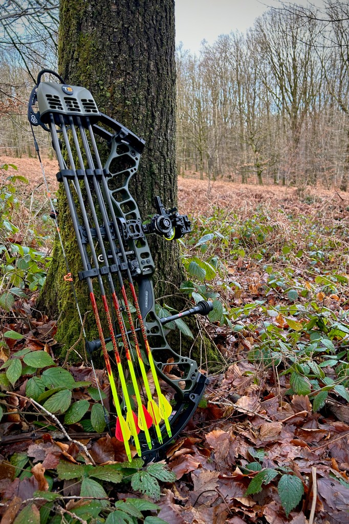 Bowtech Ascend en configuration chasse à l’arc posé contre un arbre en forêt