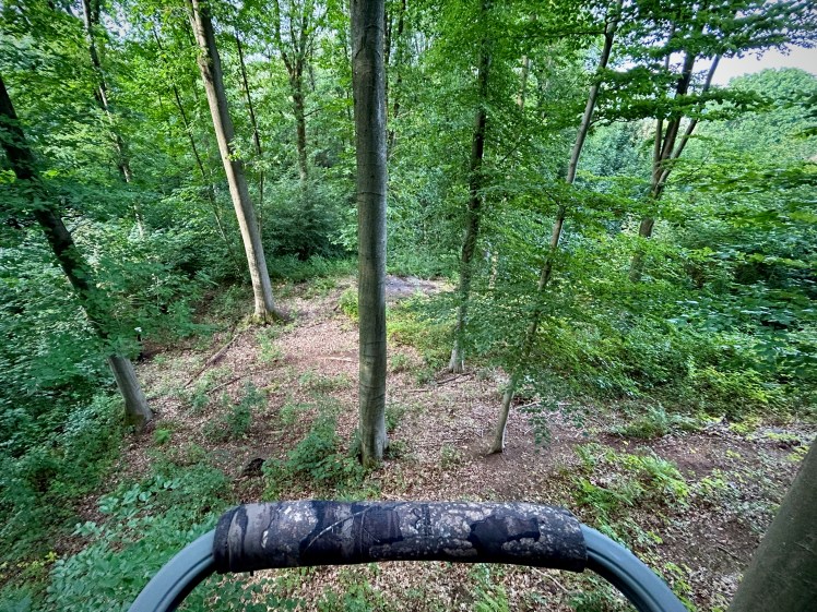 Vue immersive depuis un treestand lors d’un affût de chasse à l’arc