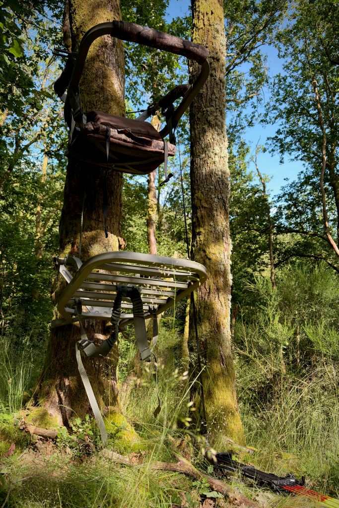 Climbing installé dans un arbre pour un affût à l’arc sur le territoire de Thilay