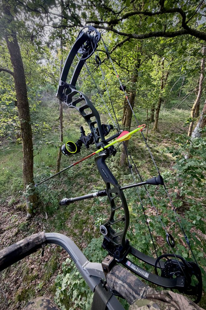 Arc suspendu depuis un poste d’affût dans un vallon boisé à Thilay