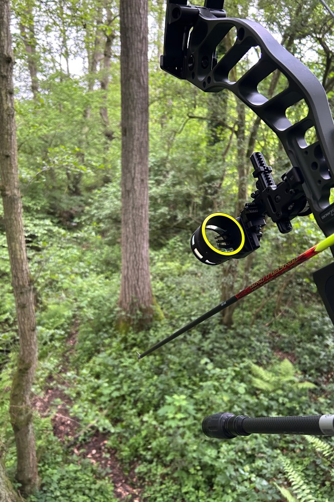 Vue depuis un treestand avec un arc à poulies installé au-dessus d'une coulée forestière