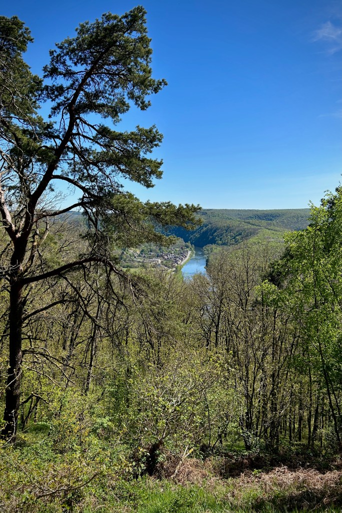 Vue sur la vallée de la Semoy depuis le territoire de chasse de Thilay dans les Ardennes françaises