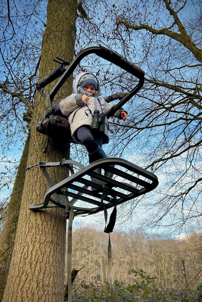 Jeune enfant installée dans un treestand lors d'une découverte de la nature en forêt