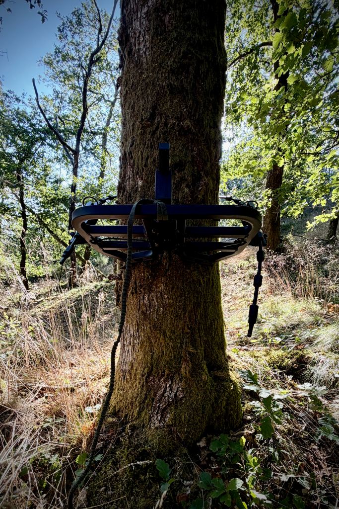 Plateforme Lean Ascent installée sur un arbre avant une séance de test en conditions réelles.