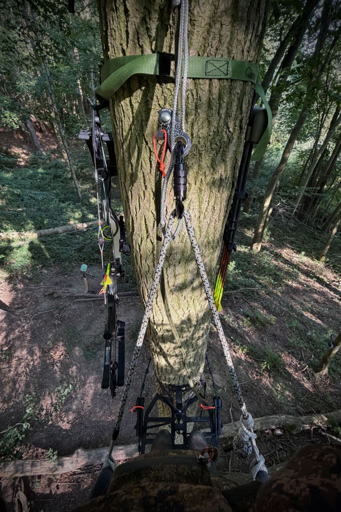 Vue du poste d'affût en hauteur avec le Bowtech Ascend et le saddle Lean Ascent.