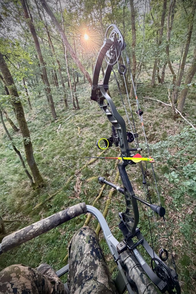 Vue depuis un treestand avec un arc Bowtech lors d'un affût en forêt au coucher du soleil.