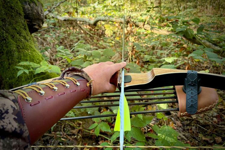 Vue à la première personne d'un arc traditionnel avec une flèche encochée dans une végétation forestière dense